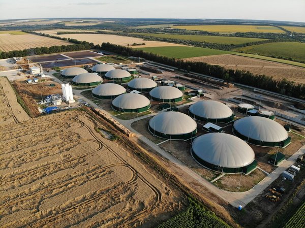 Energie, biomasse : une clé pour un avenir durable