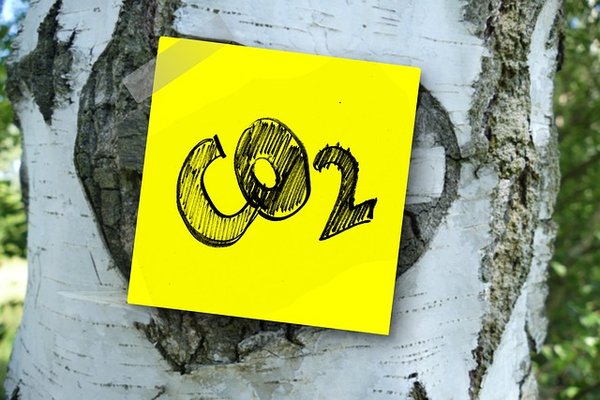 Évolution du prix du crédit carbone en 2024 : ce qu'il faut savoir